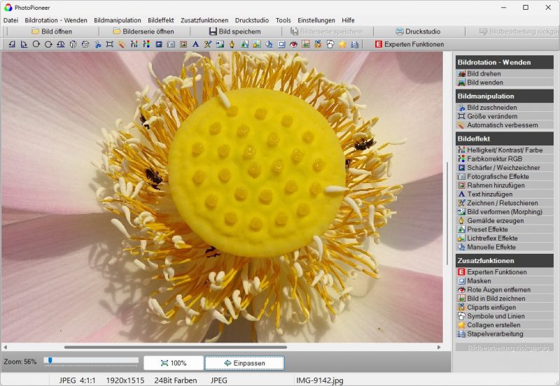 Bildbearbeitungsprogramm auf Windows PC bei der Fotobearbeitung