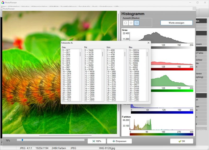 Farbanpassung und Histogramm im Bildbearbeitungsprogramm